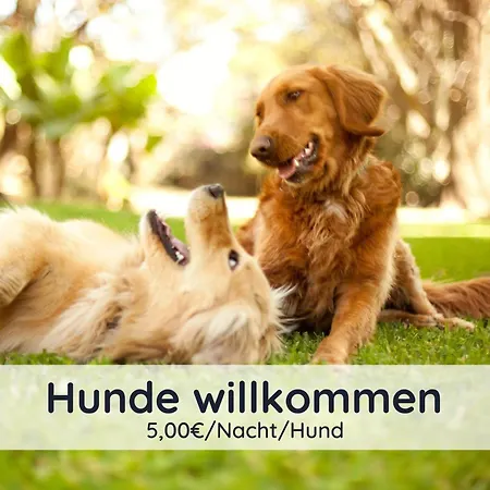 Auszeit Harz * Bad Sachsa