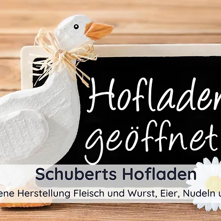Auszeit Harz Lejlighed Bad Sachsa